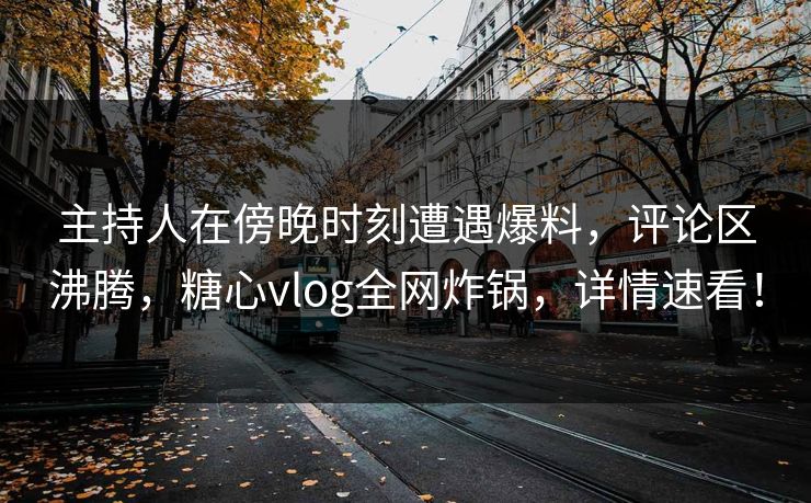 主持人在傍晚时刻遭遇爆料，评论区沸腾，糖心vlog全网炸锅，详情速看！