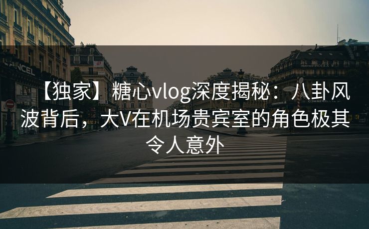 【独家】糖心vlog深度揭秘：八卦风波背后，大V在机场贵宾室的角色极其令人意外