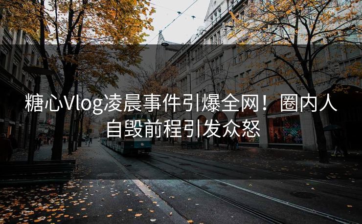 糖心Vlog凌晨事件引爆全网！圈内人自毁前程引发众怒